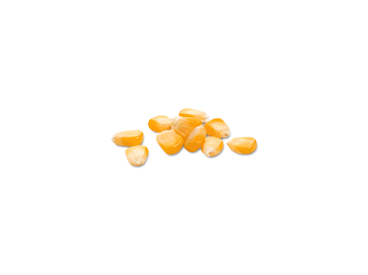 Corn